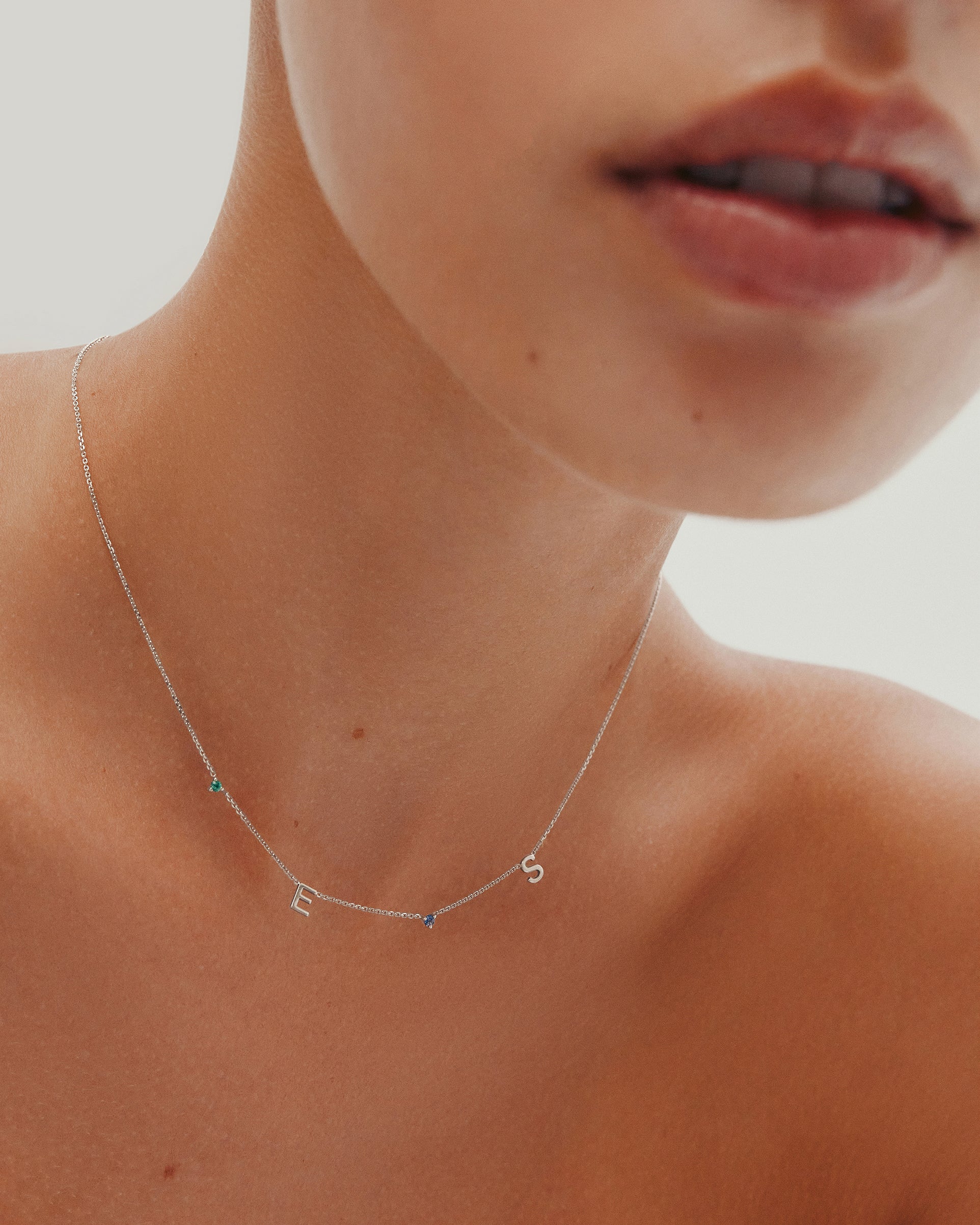 The Petite Charm Necklace
