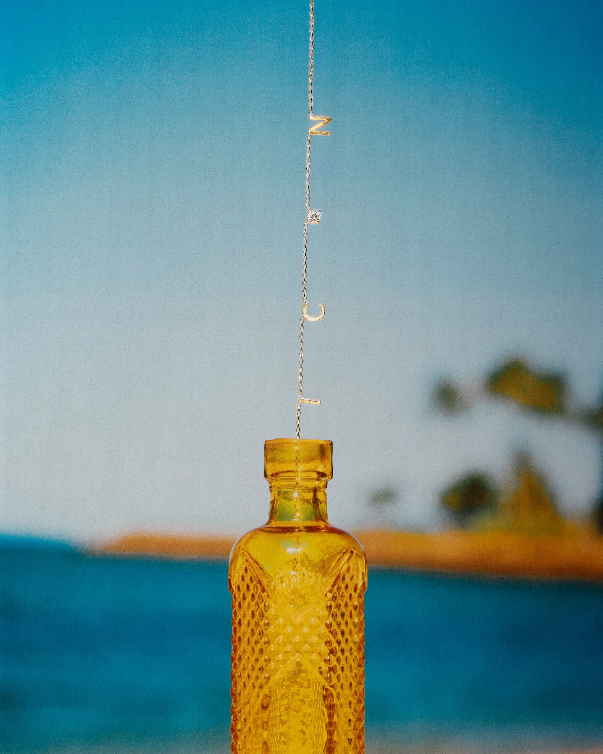 The Petite Charm Necklace