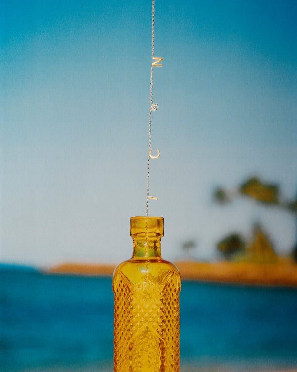 The Petite Charm Necklace