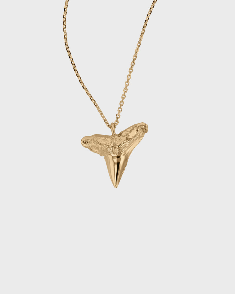 Shark Tooth Necklace Yellow Gold