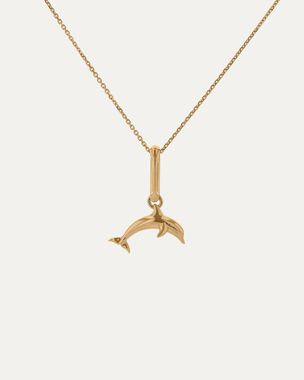 Xanthe Zodiac Aquarius Carabiner & Necklace