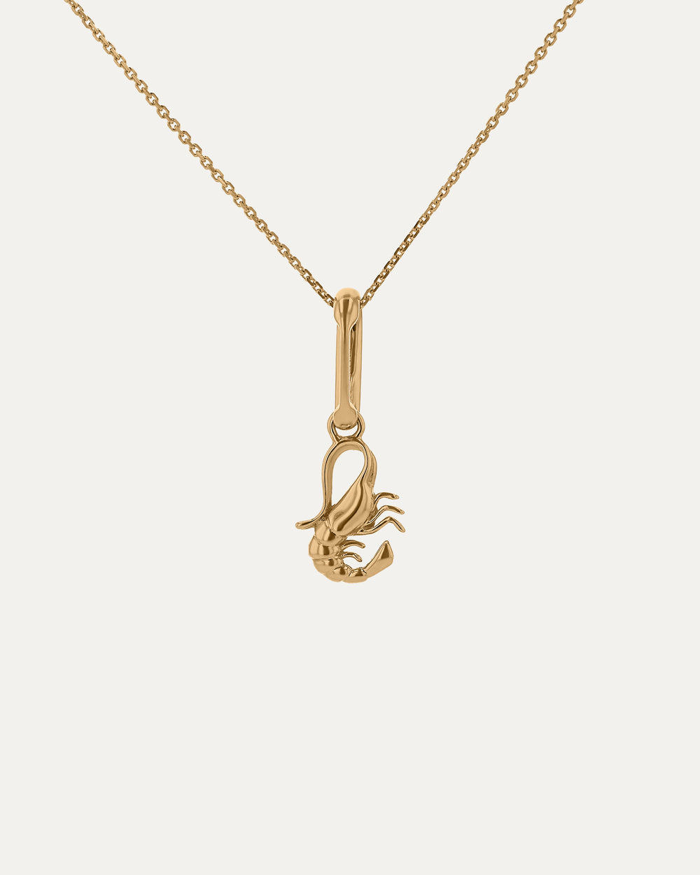 Xanthe Zodiac Scorpio Carabiner & Necklace