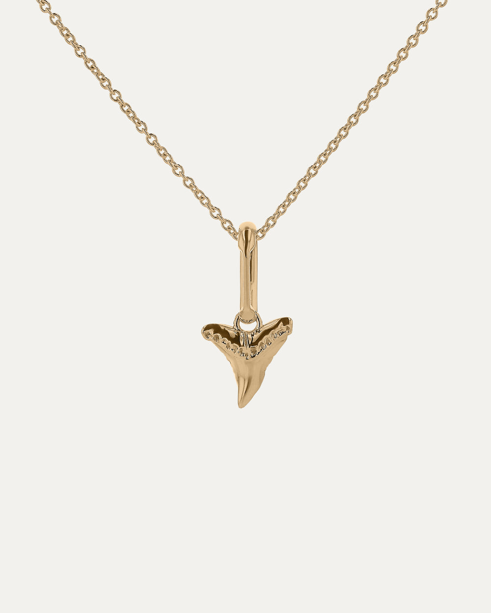 Xanthe Zodiac Aries Carabiner & Necklace