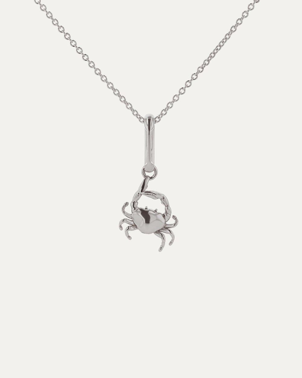 Xanthe Zodiac Cancer Carabiner & Necklace