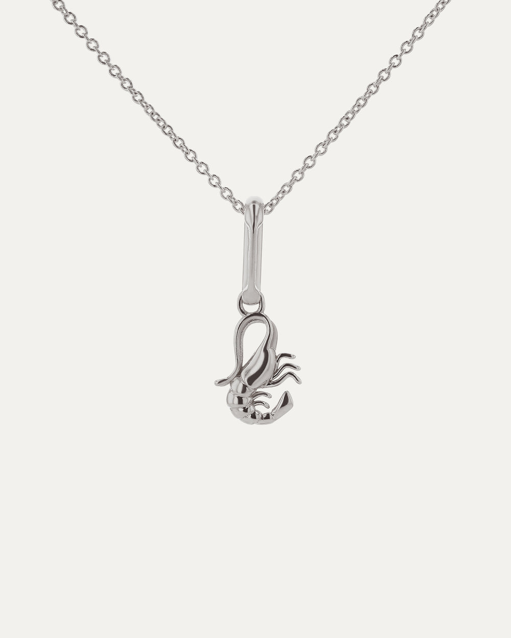 Xanthe Zodiac Scorpio Carabiner & Necklace