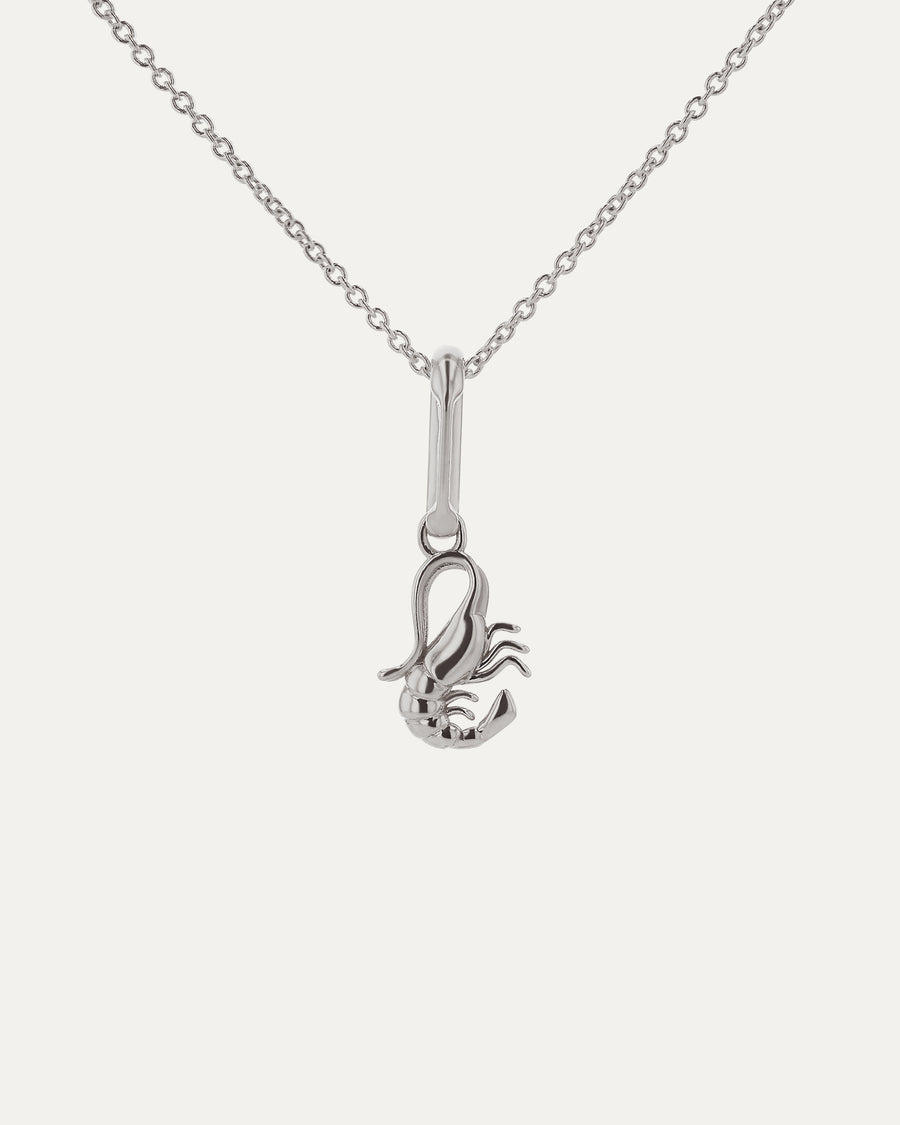 Xanthe Zodiac Scorpio Carabiner Silver | SARAH & SEBASTIAN