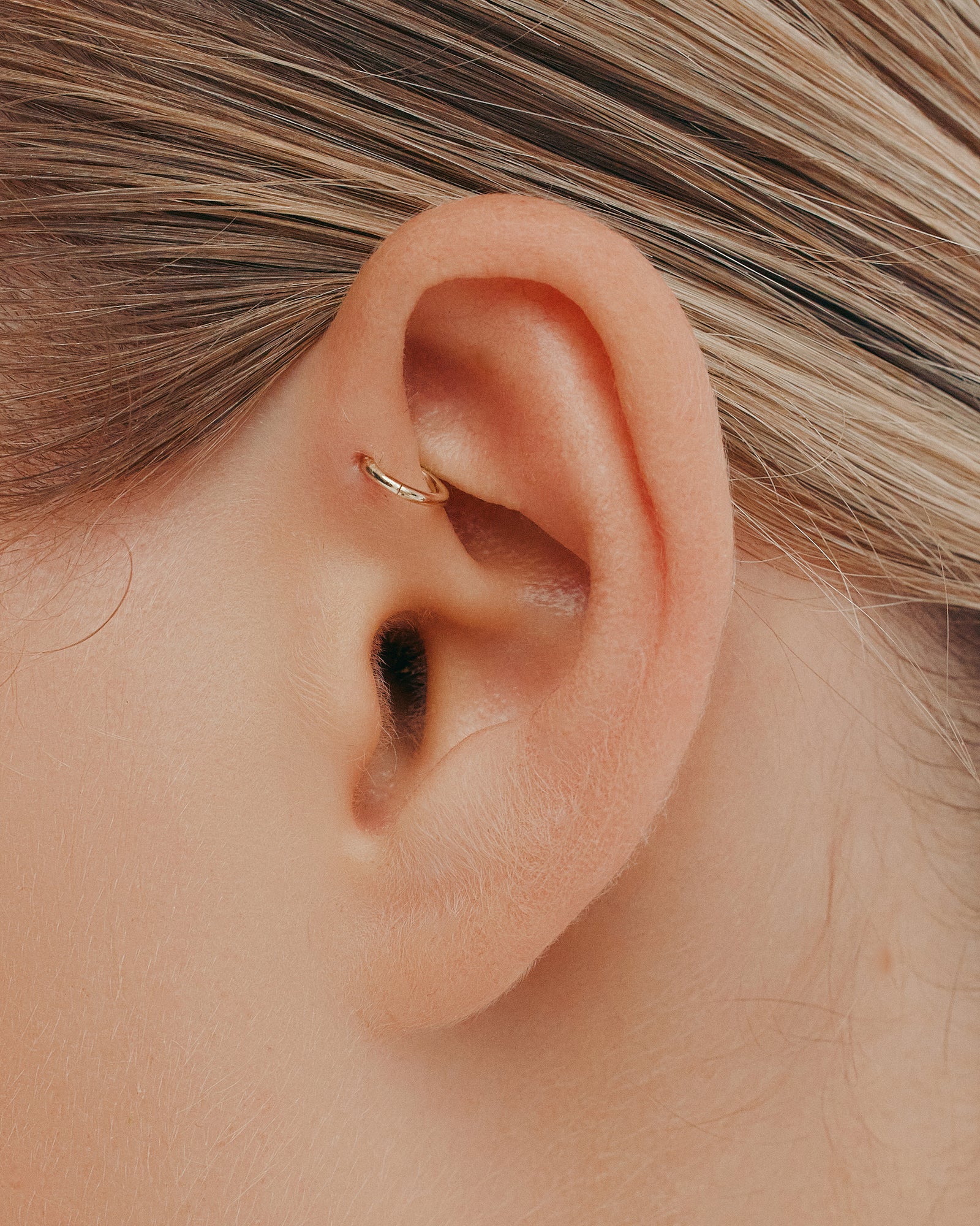 Fine Yellow Gold Hoop Earrings Yellow Gold Sarah Sebastian