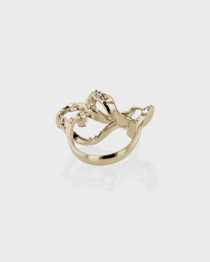 Golden Kelp Ring by Sarah & Sebastian