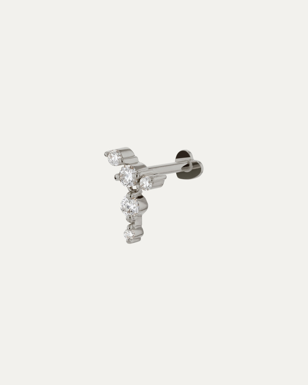 Petite boucle d'oreille en cartilage d'oursin