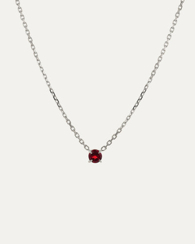 The Birthstone Necklace